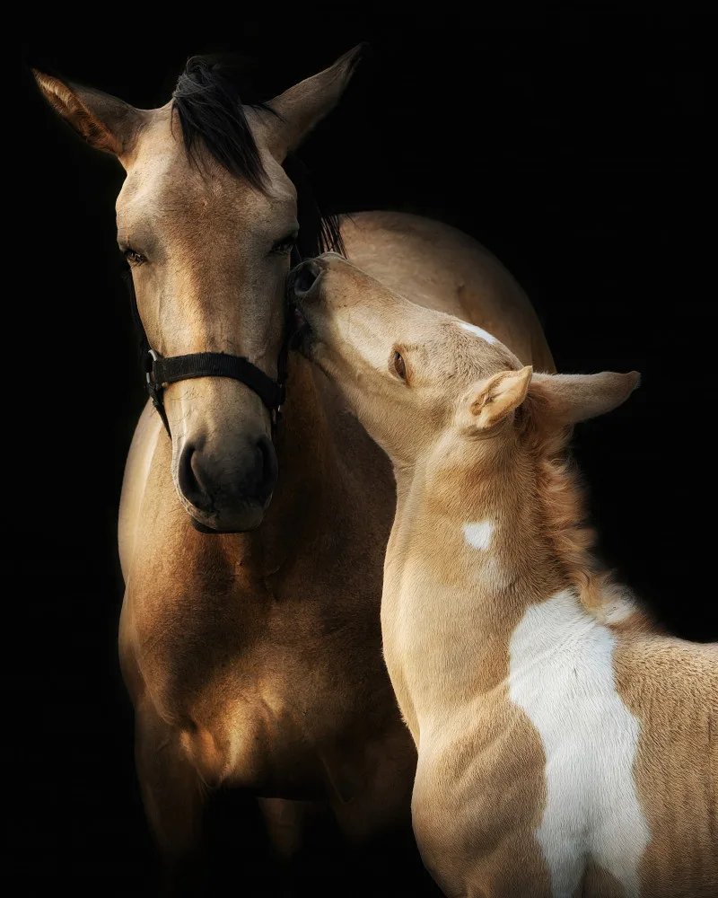 Huertas, Garcia Helena: I love you mommy
