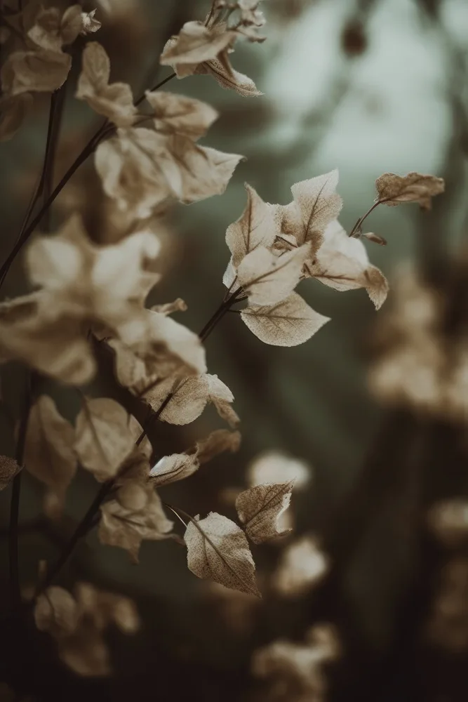 Treechild: Low Light Nature No 2