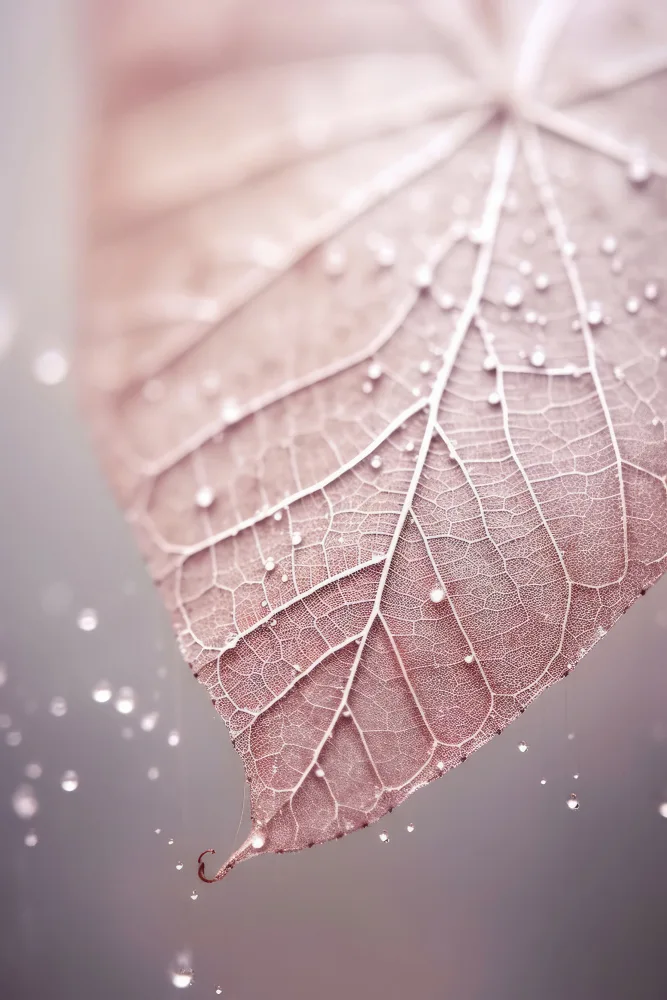 Treechild: Rosiges Blatt