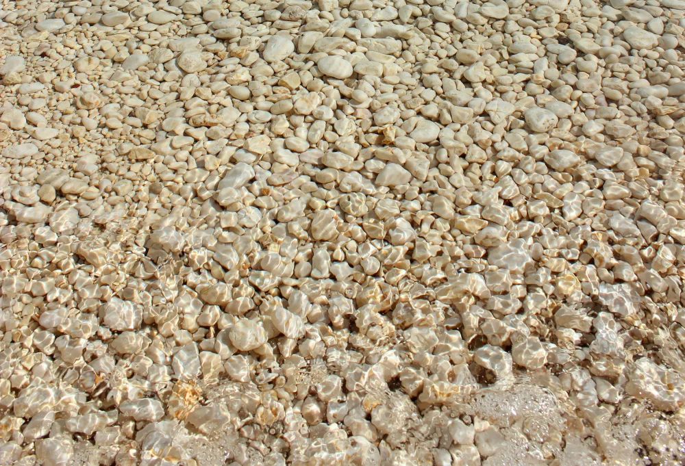 Fennell, Alyson: Golden Pebbles and Clear Water