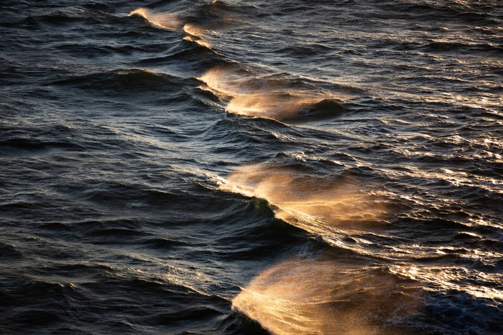 Böhmer, Mareike: Sunkissed Waves