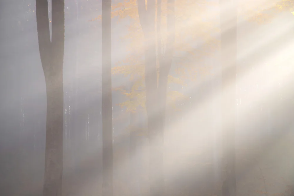 Coman, Ionut Alexandru: Lichtstrahlen