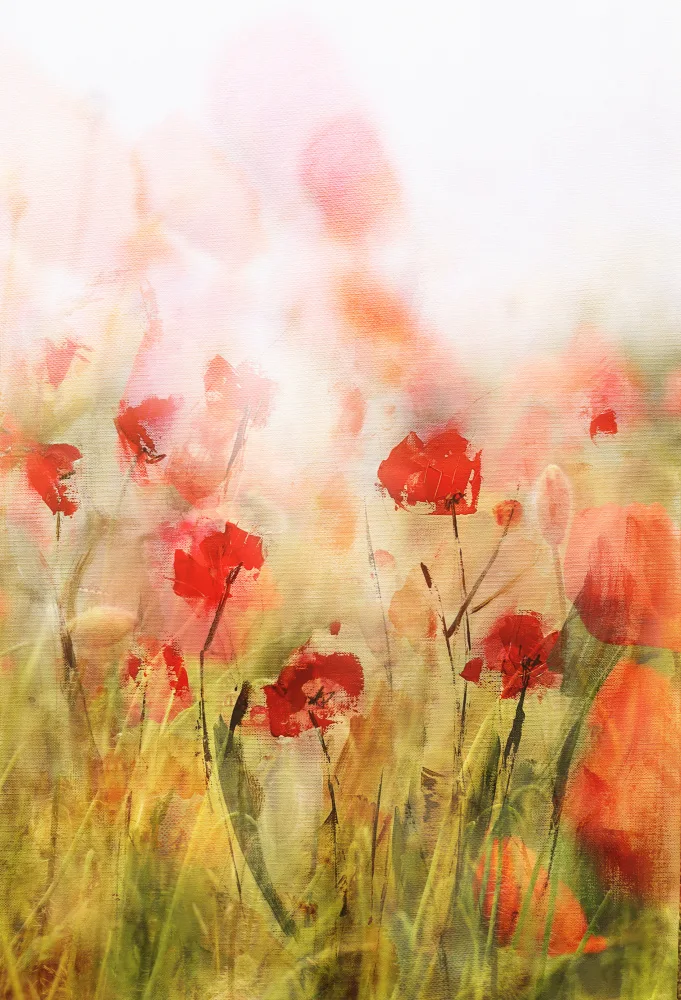 Deelen, van Ellen: Poppies IV