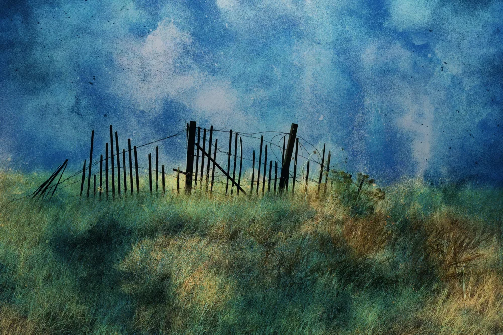 Thomas, Porter: Picket Fence