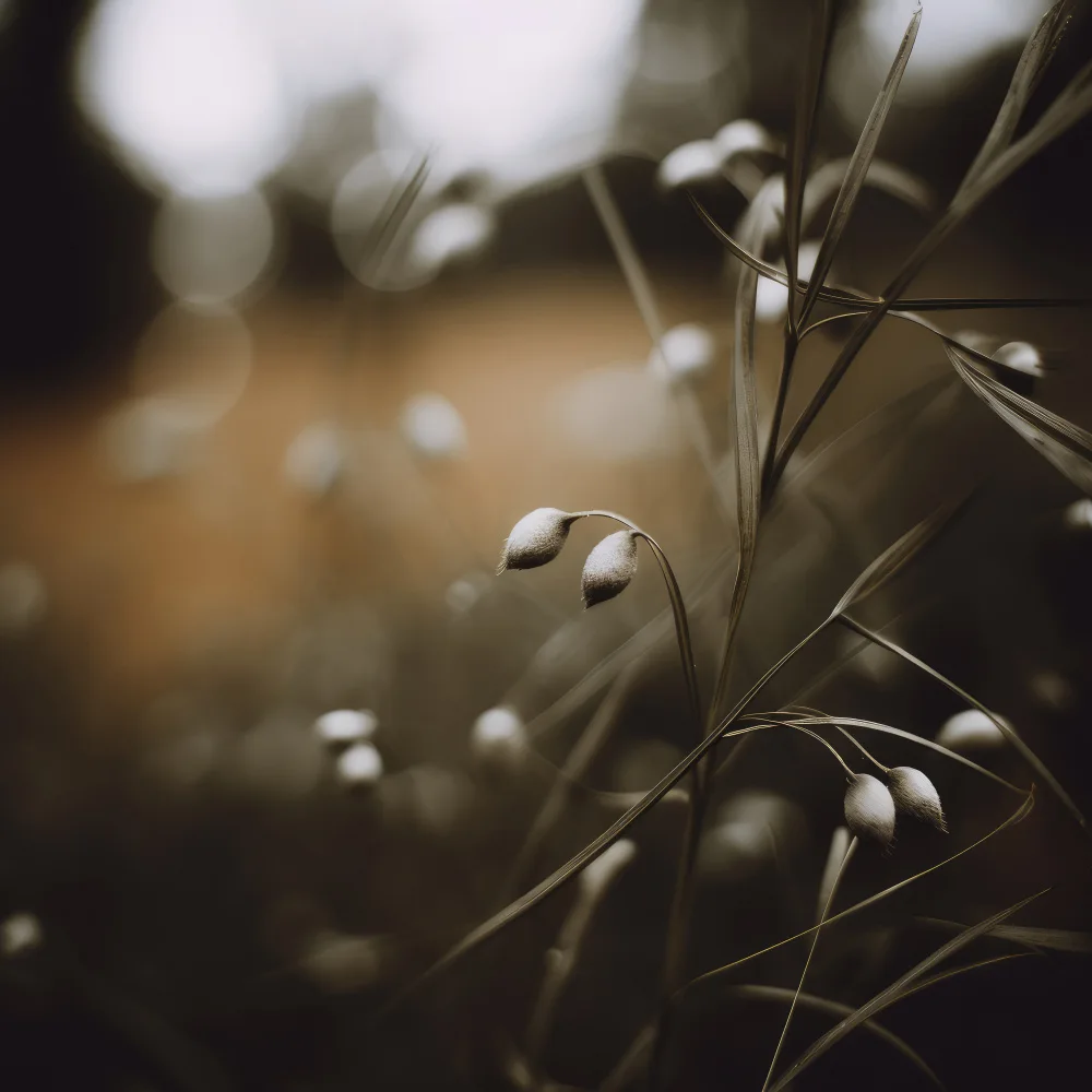 Treechild: Nature faible en lumière n° 8