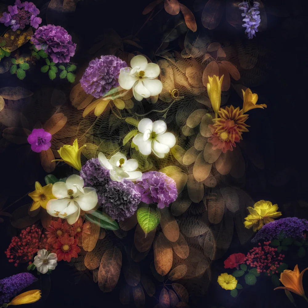 Shumilova, Ludmila: Mirabilis