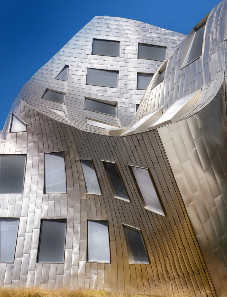 Pan, Yi: Institut mozku 2