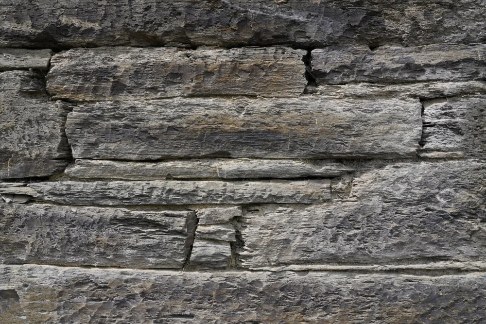 Paksoylu, Bilge: Tex Surface W6