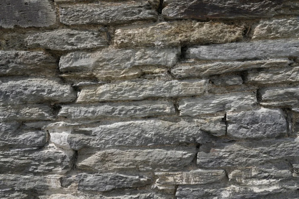 Paksoylu, Bilge: Tex Surface W10