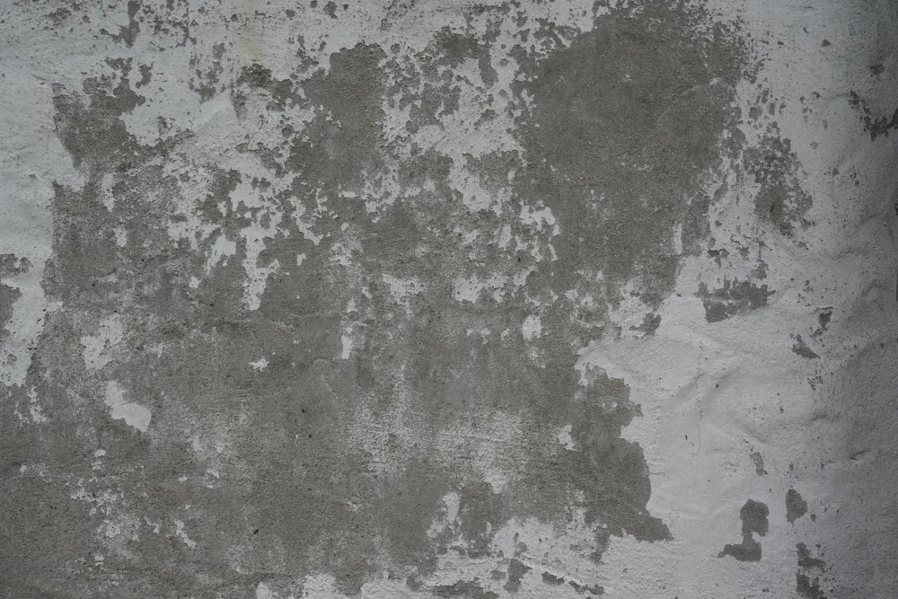 Paksoylu, Bilge: Tex Surface W24