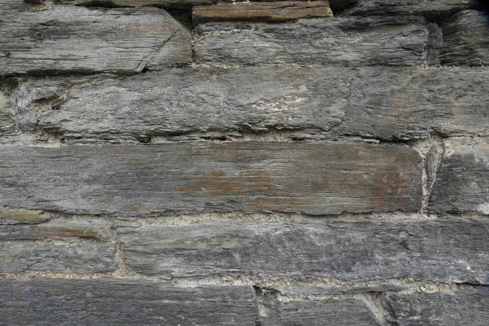 Paksoylu, Bilge: Tex Surface W30