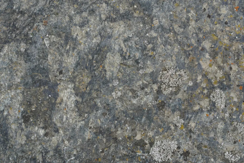 Paksoylu, Bilge: Tex Surface S3