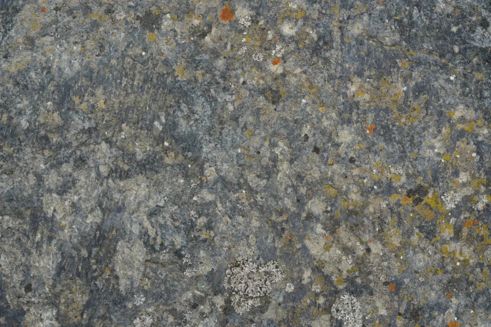 Paksoylu, Bilge: Tex Surface S4