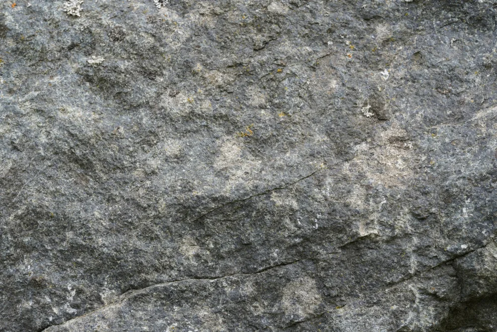 Paksoylu, Bilge: Tex Surface S7