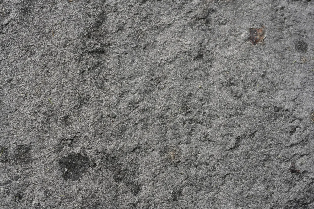 Paksoylu, Bilge: Tex Surface S9
