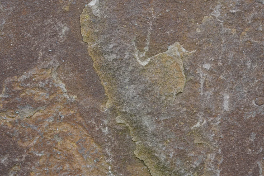 Paksoylu, Bilge: Tex Surface S18