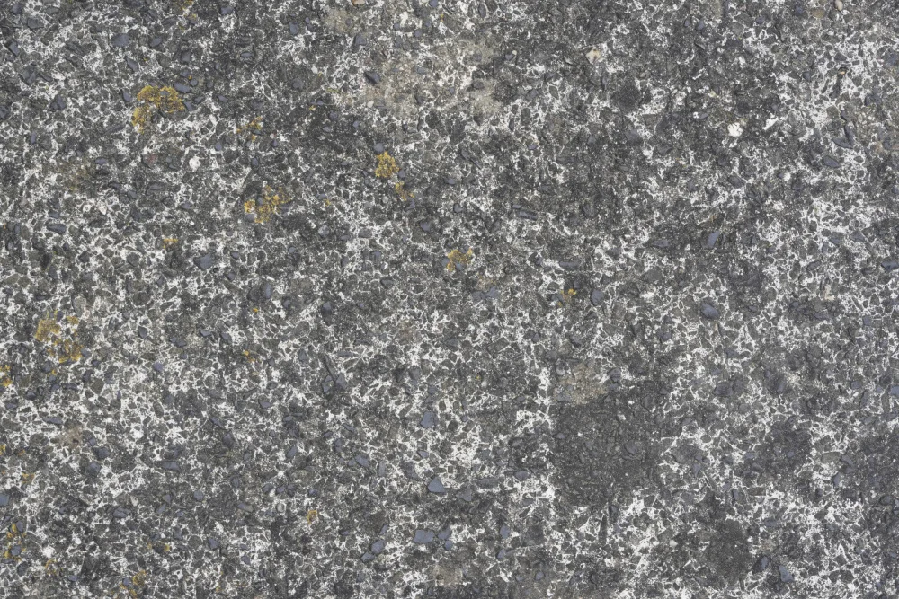 Paksoylu, Bilge: Tex Surface S17