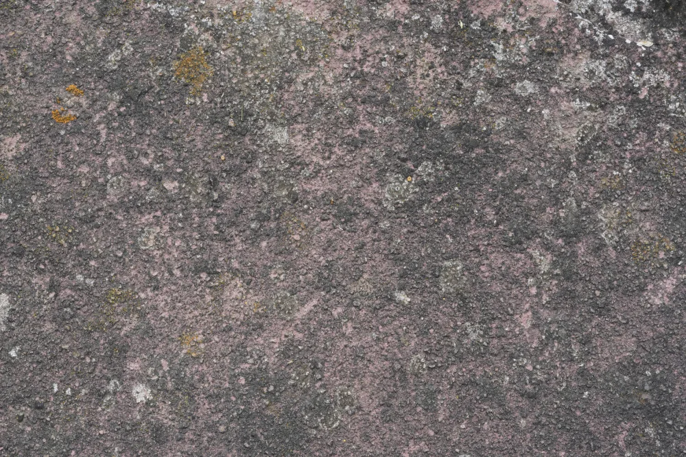 Paksoylu, Bilge: Tex Surface S13