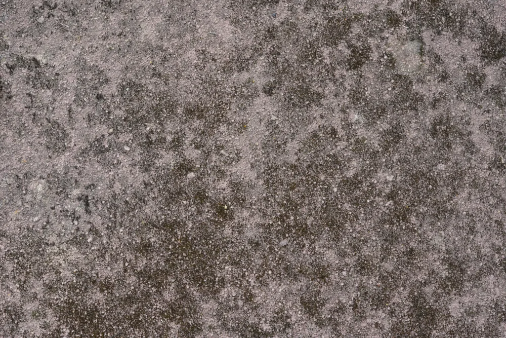 Paksoylu, Bilge: Tex Surface S12
