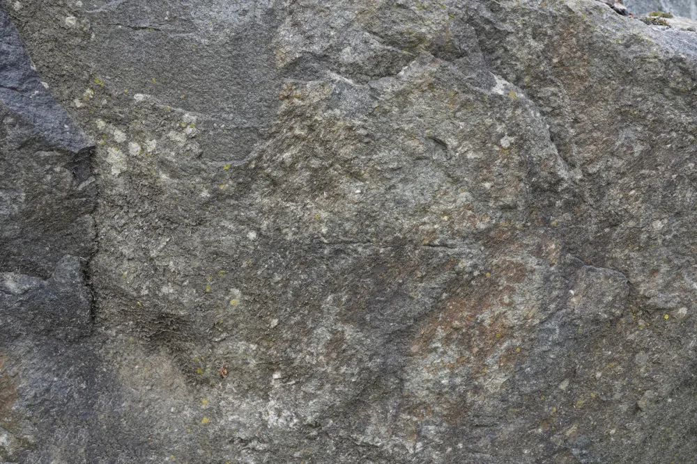 Paksoylu, Bilge: Tex Surface S24