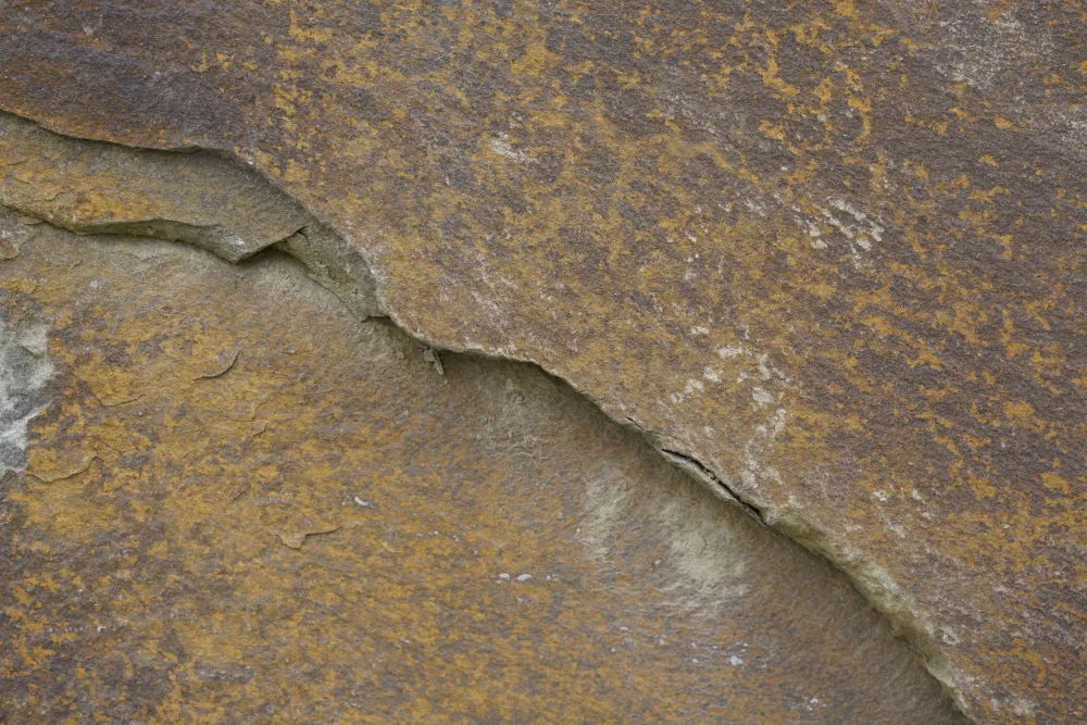 Paksoylu, Bilge: Tex Surface S25