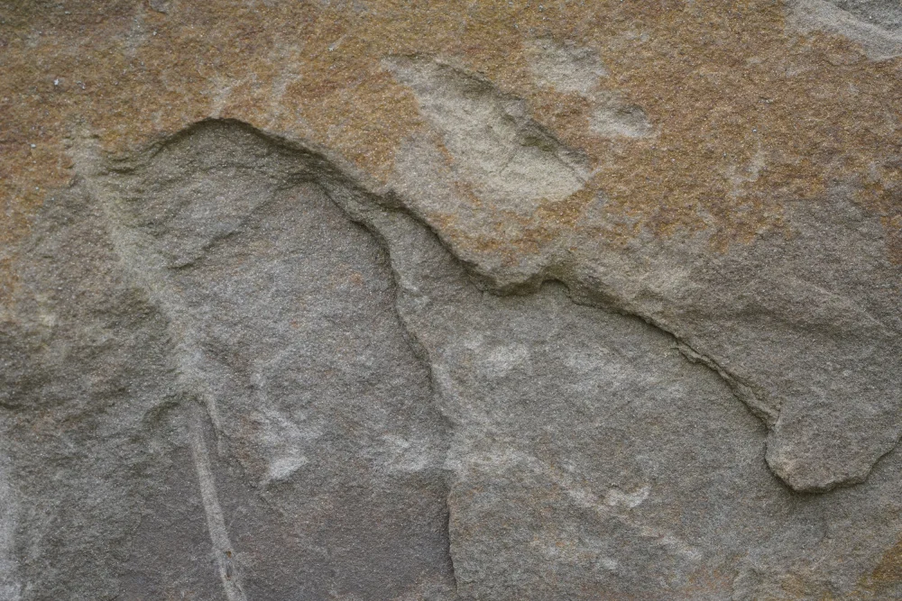 Paksoylu, Bilge: Tex Surface S30