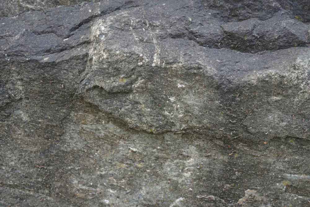 Paksoylu, Bilge: Tex Surface S32