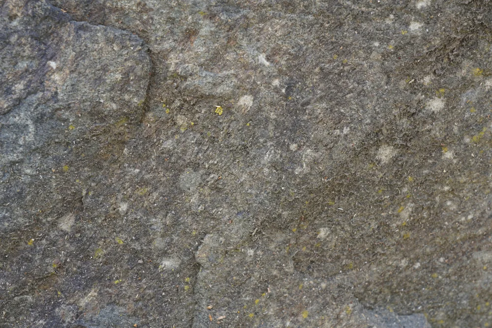 Paksoylu, Bilge: Tex Surface S42