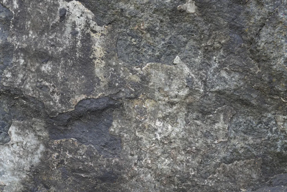 Paksoylu, Bilge: Tex Surface S40