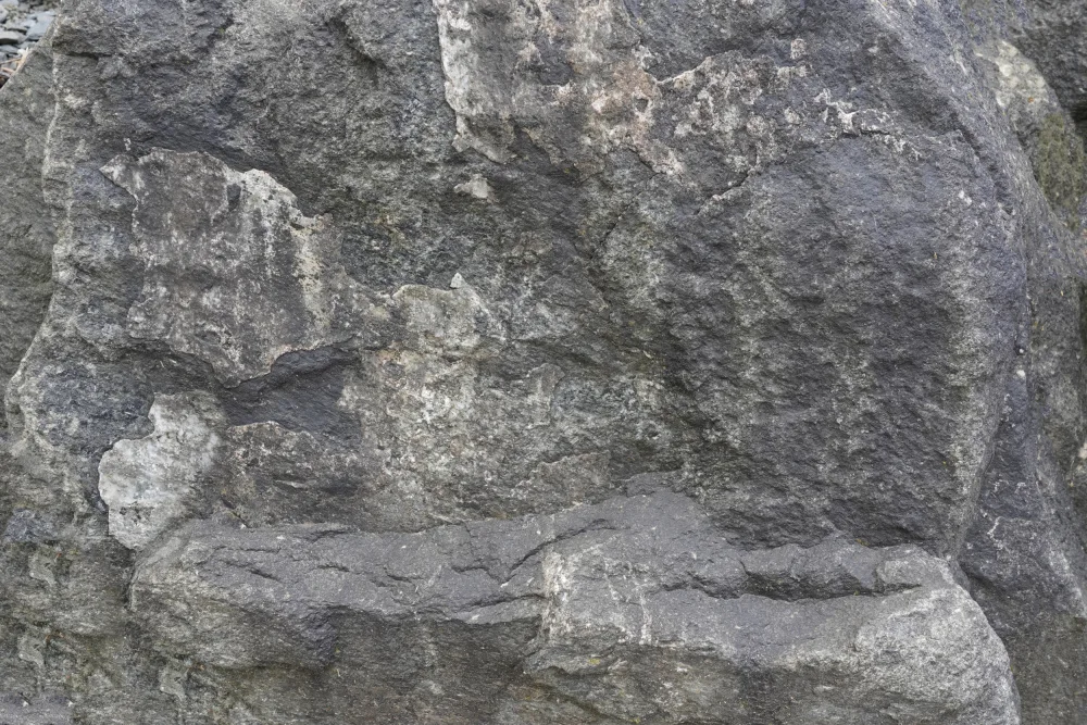 Paksoylu, Bilge: Tex Surface S36