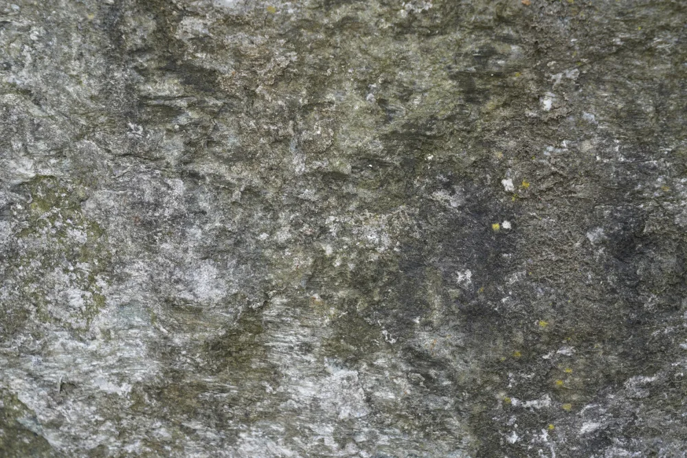Paksoylu, Bilge: Tex Surface S34