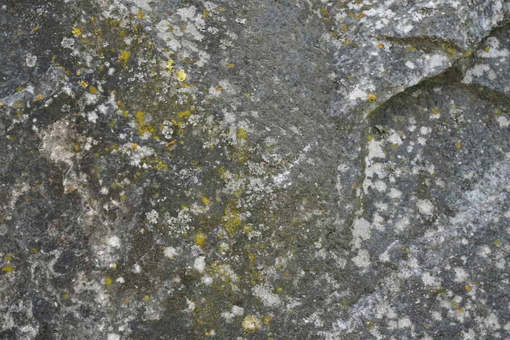 Paksoylu, Bilge: Tex Surface S45