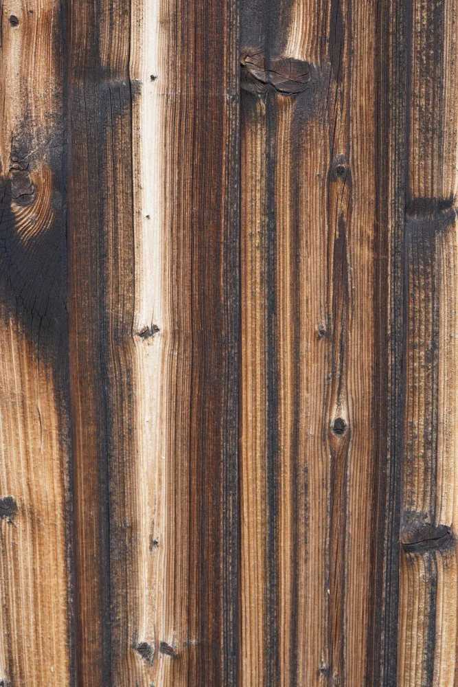 Paksoylu, Bilge: Tex Oberfläche Holz 8