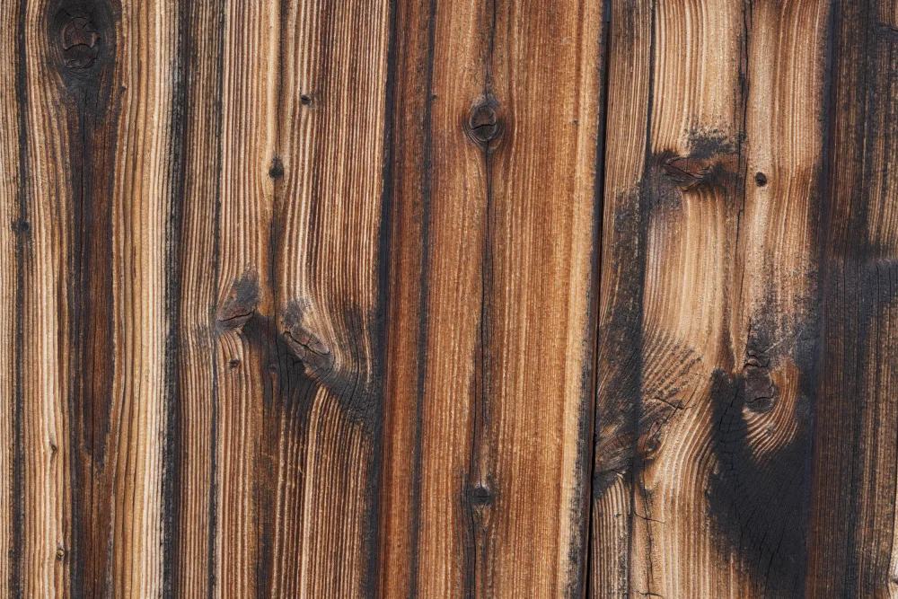 Paksoylu, Bilge: Tex Surface Wood 9