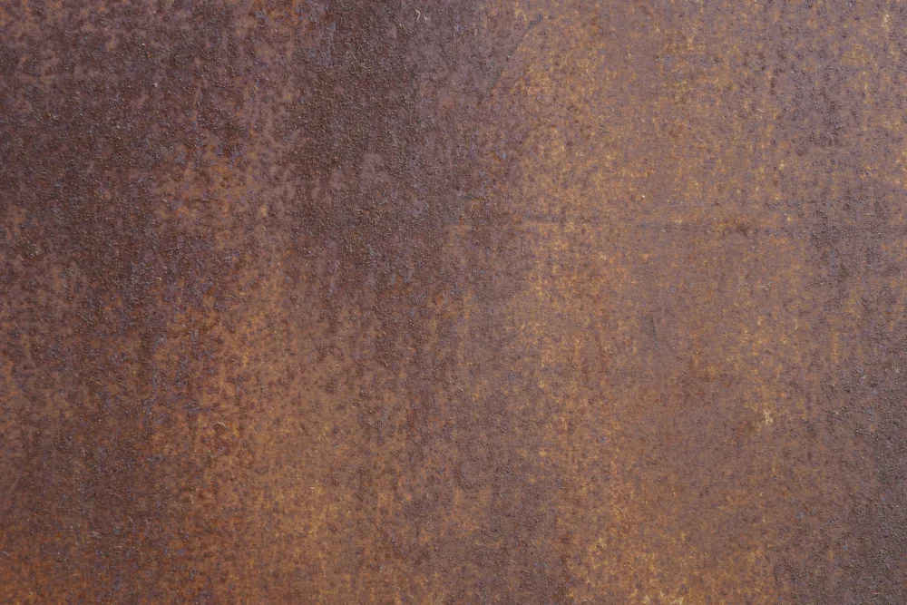Paksoylu, Bilge: Rust 7