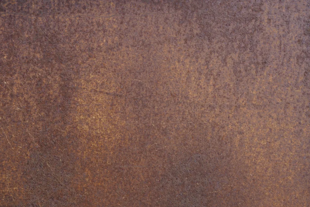 Paksoylu, Bilge: Rust 8