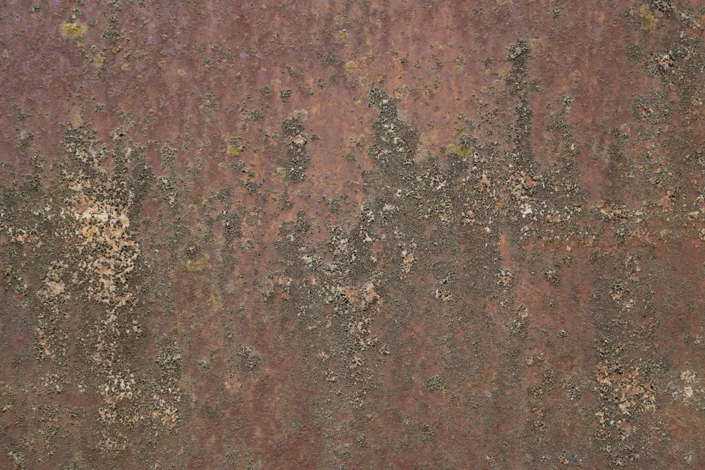 Paksoylu, Bilge: Ruggine 26