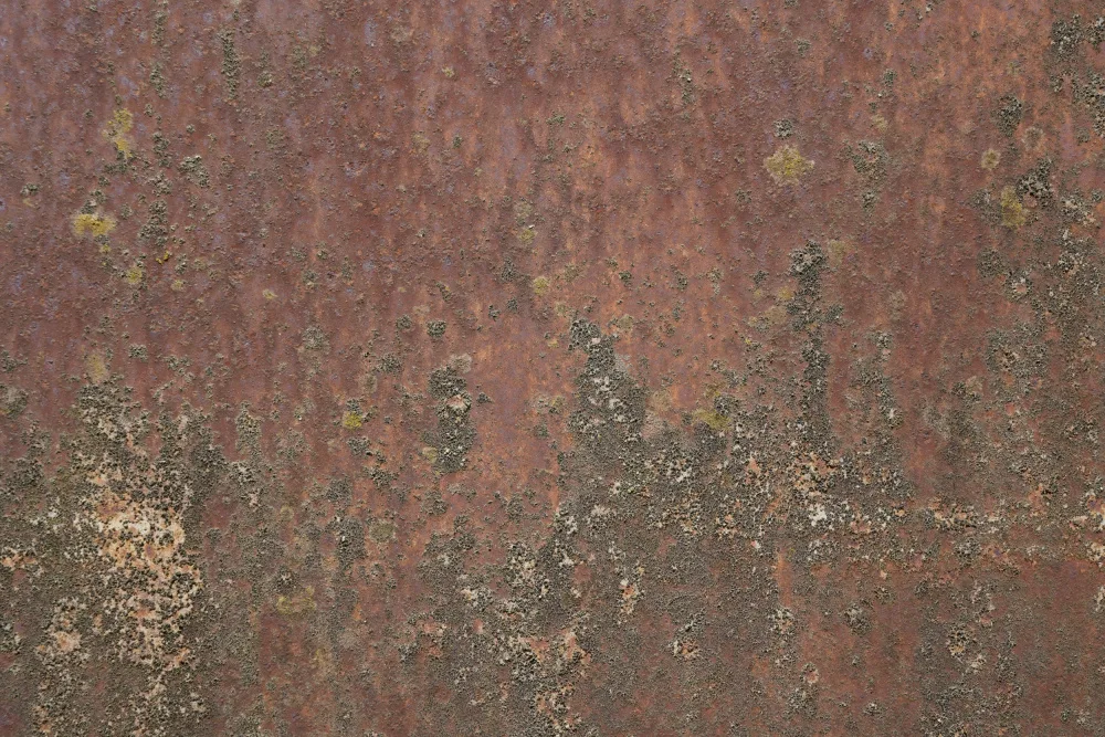 Paksoylu, Bilge: Rust 27