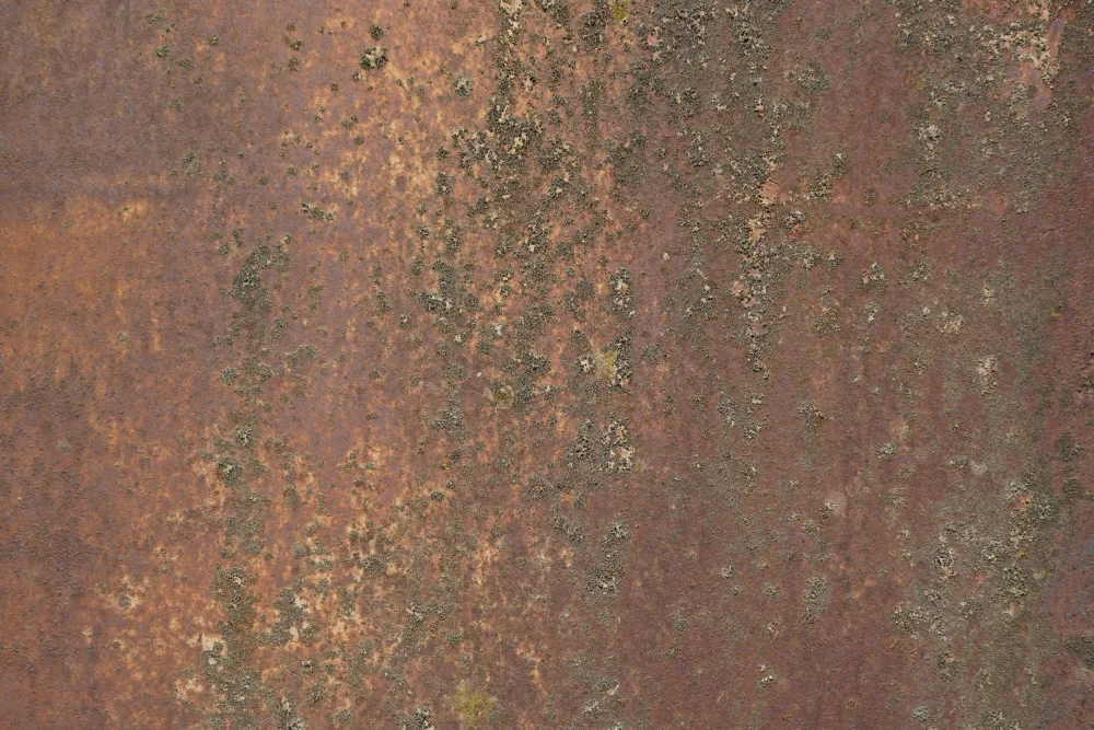 Paksoylu, Bilge: Rust 30