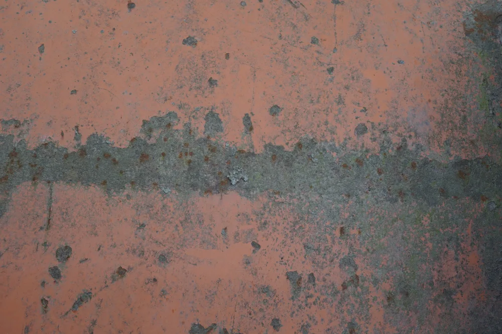Paksoylu, Bilge: Rust 33