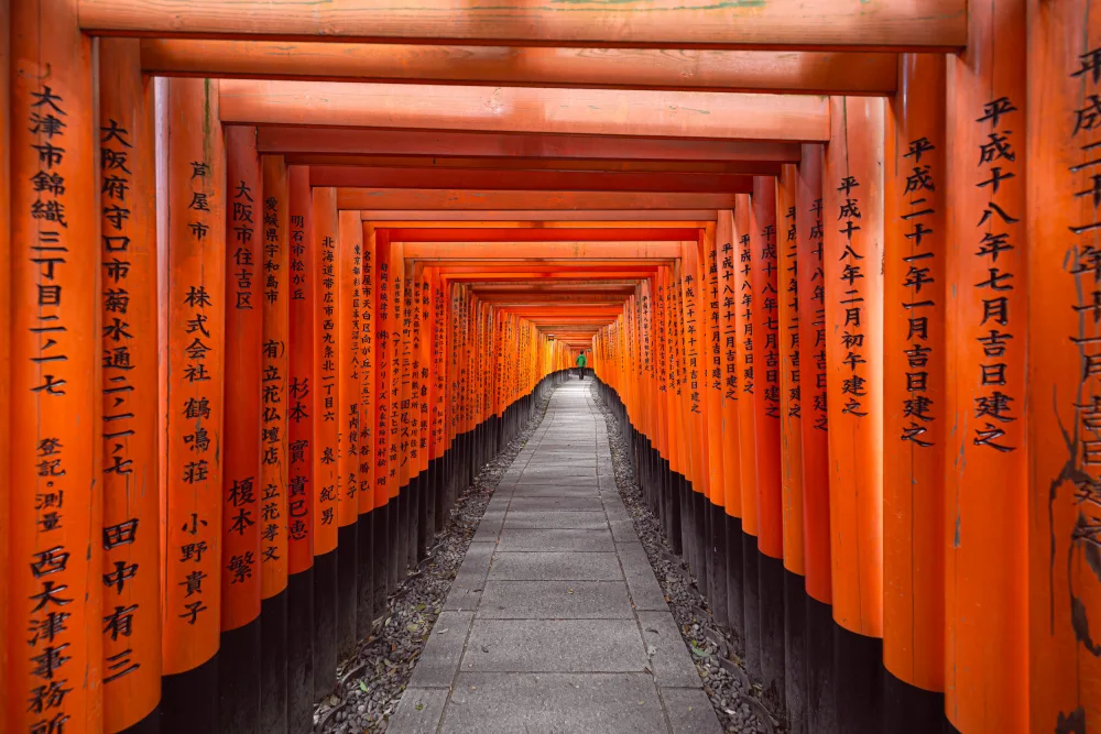 Tagliarino, Marco: Inari enlightened path