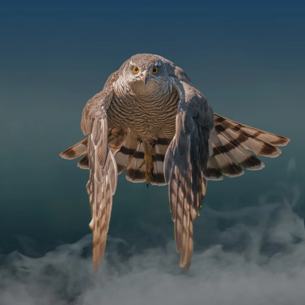 Horst, ter Gert: Eyes on the camera