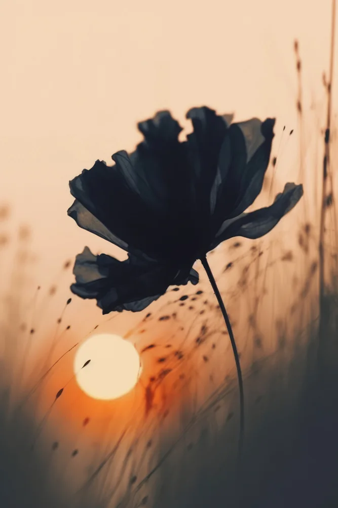 Treechild: Antes del atardecer nº 3