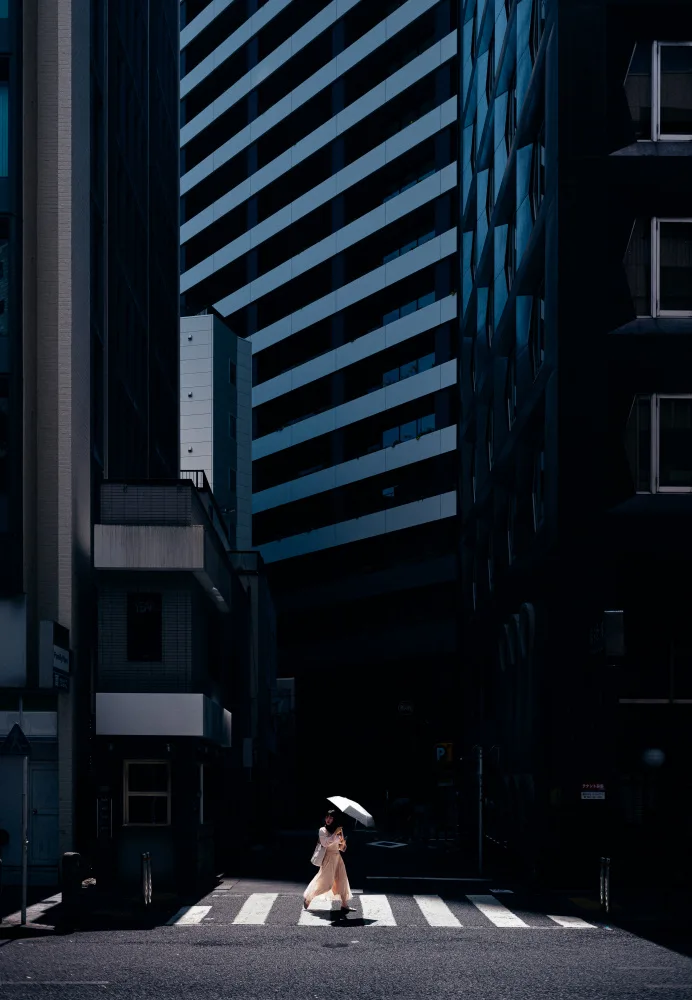 Fujii, Yuzo: Les rayures