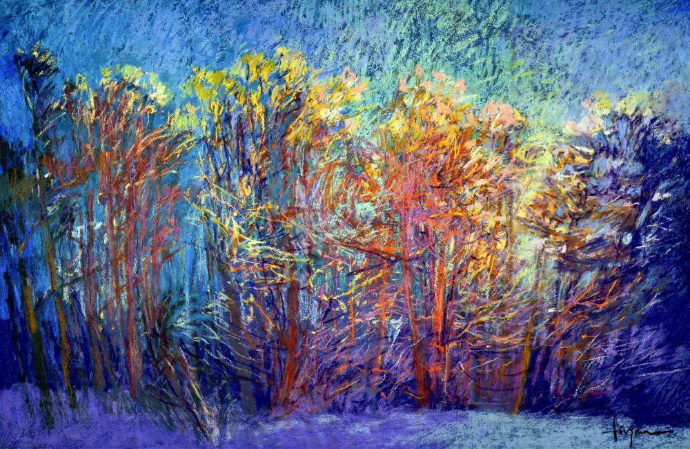 Fagan, Dorothy: Df366scintillante nel bosco