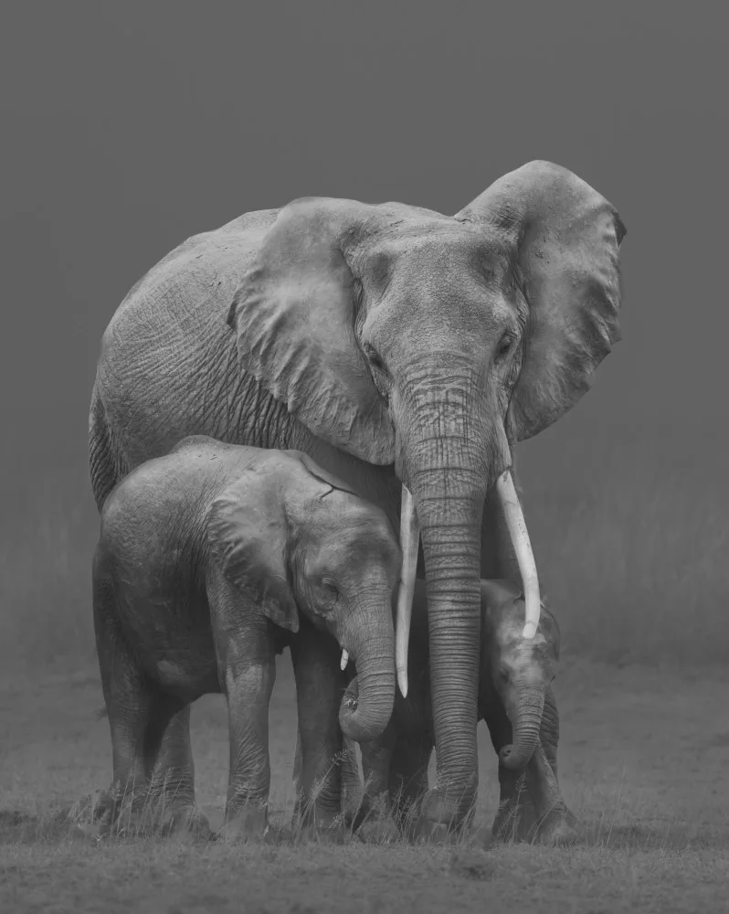 LI, MIN: mamá y niños