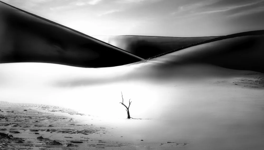 Joanaduenas: Spirit of the desert 7R49491BN