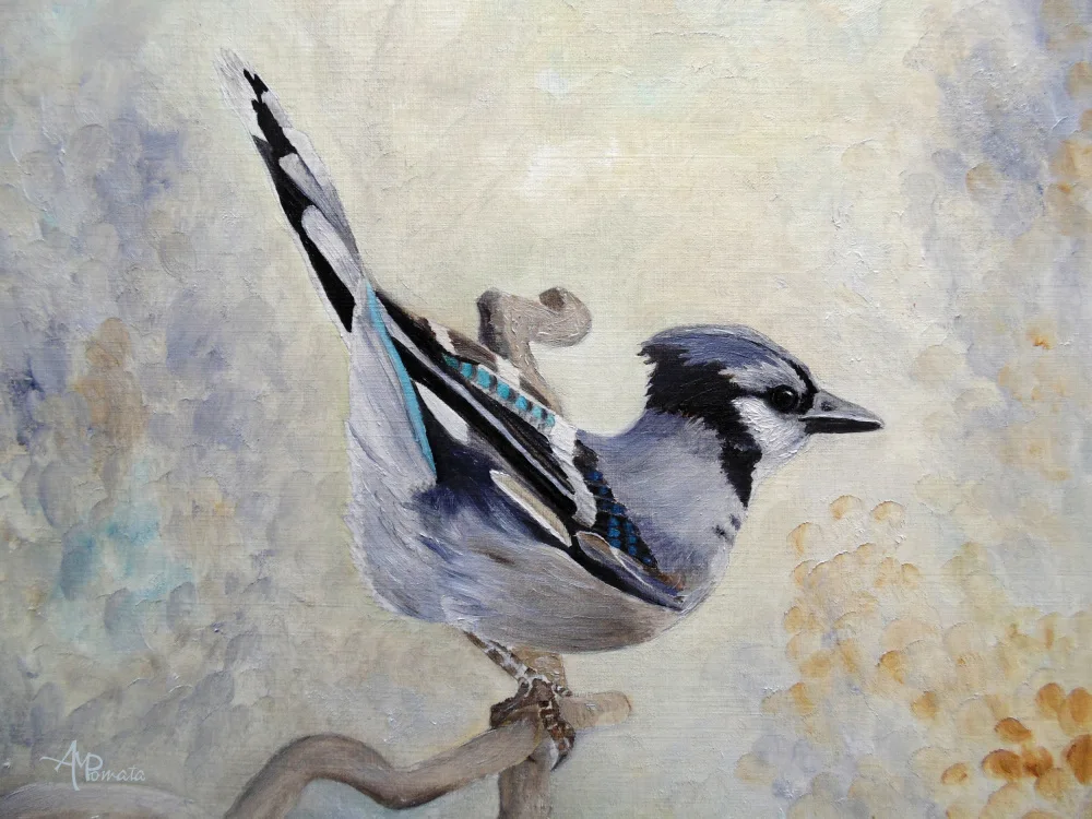 Pomata, M. Angeles: Attitude Derriere Blue Jay