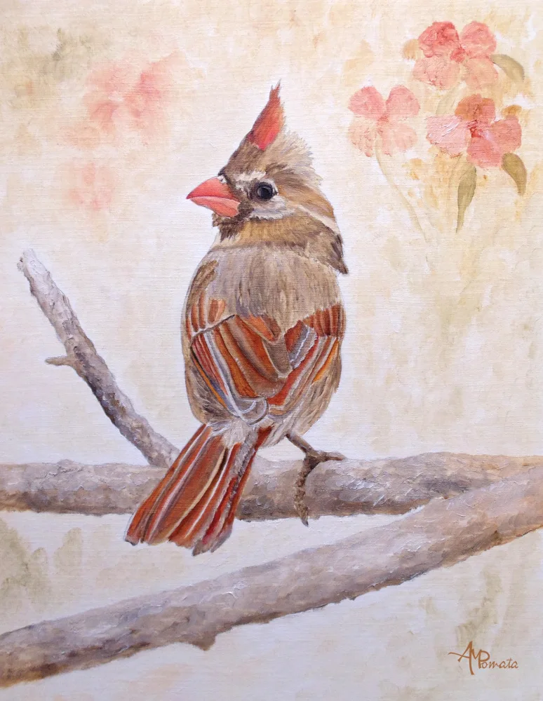 Pomata, M. Angeles: Mignonne qui