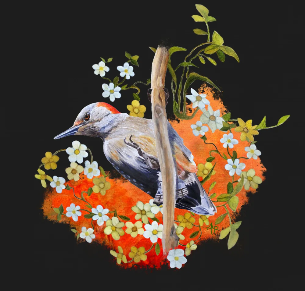 Pomata, M. Angeles: Gardenwatch Woodpecker.png